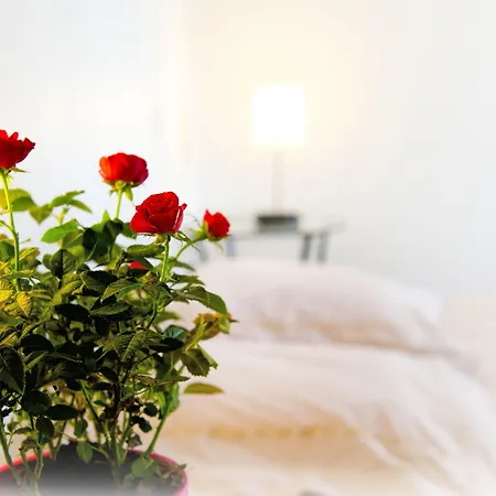 D'hotes Entre Dolmens Et Fontaines Oda ve Kahvaltı Sévérac-le-Château