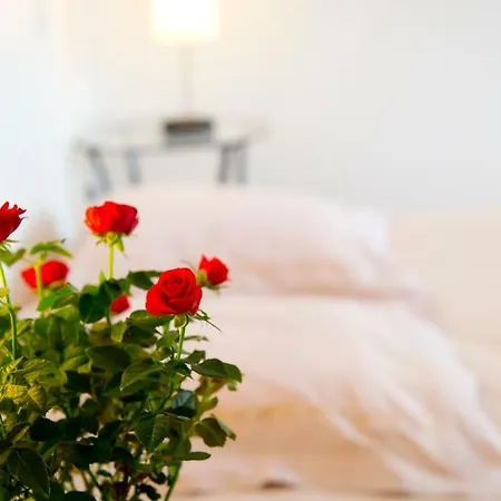 Oda ve Kahvaltı D'hotes Entre Dolmens Et Fontaines Sévérac-le-Château