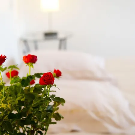 D'hotes Entre Dolmens Et Fontaines Bed & Breakfast