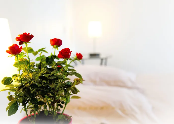 D'hotes Entre Dolmens Et Fontaines Bed and Breakfast Sévérac-le-Château